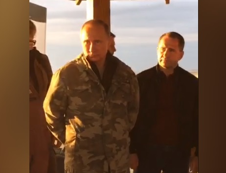 В Оренбуржье лошадей Пржевальского выпускают в естественную среду обитания